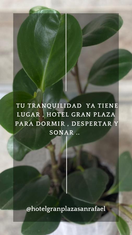 Hotel Gran Plaza San Rafael 圣拉菲尔 外观 照片